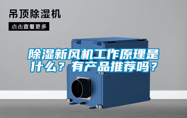 除濕新風機工作原理是什么？有產品推薦嗎？