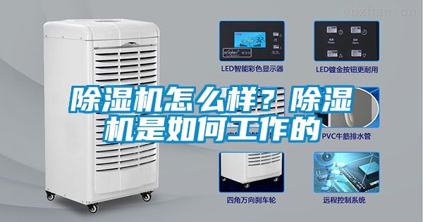 除濕機怎么樣？除濕機是如何工作的