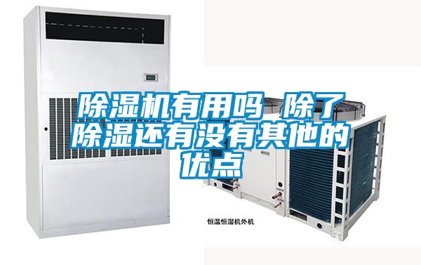 除濕機有用嗎 除了除濕還有沒有其他的優點
