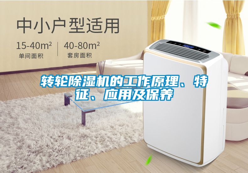 轉輪除濕機的工作原理、特征、應用及保養
