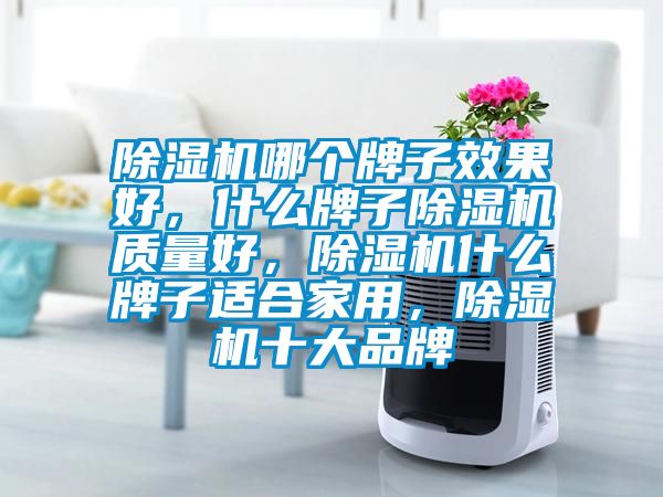 除濕機哪個牌子效果好，什么牌子除濕機質量好，除濕機什么牌子適合家用，除濕機十大品牌