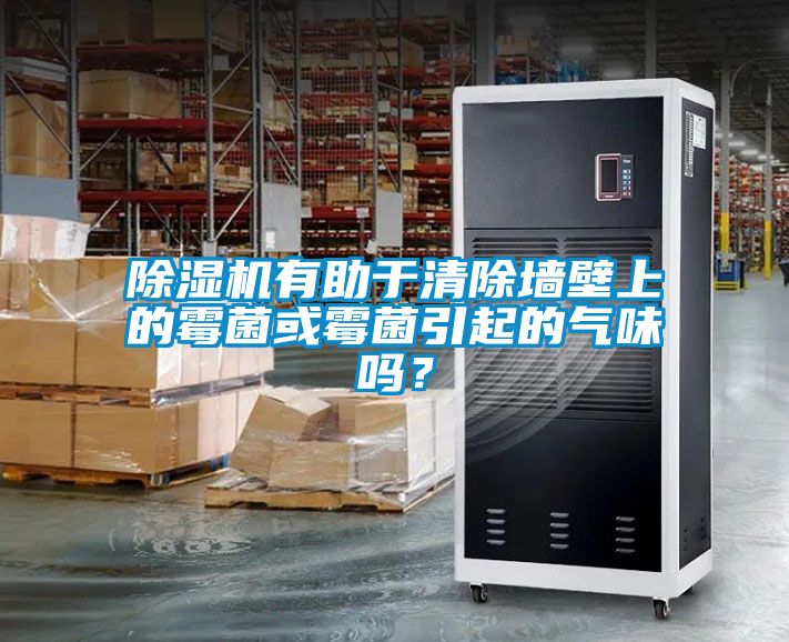除濕機有助于清除墻壁上的霉菌或霉菌引起的氣味嗎？