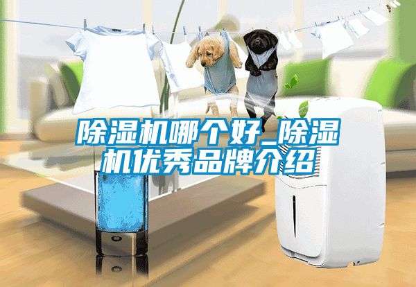 除濕機哪個好_除濕機優秀品牌介紹