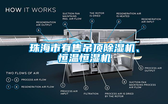 珠海市有售吊頂除濕機、恒溫恒濕機