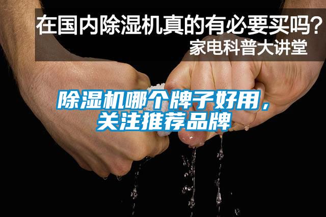 除濕機哪個牌子好用，關(guān)注推薦品牌