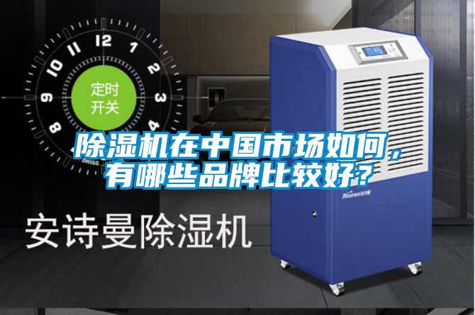 除濕機(jī)在中國(guó)市場(chǎng)如何，有哪些品牌比較好？