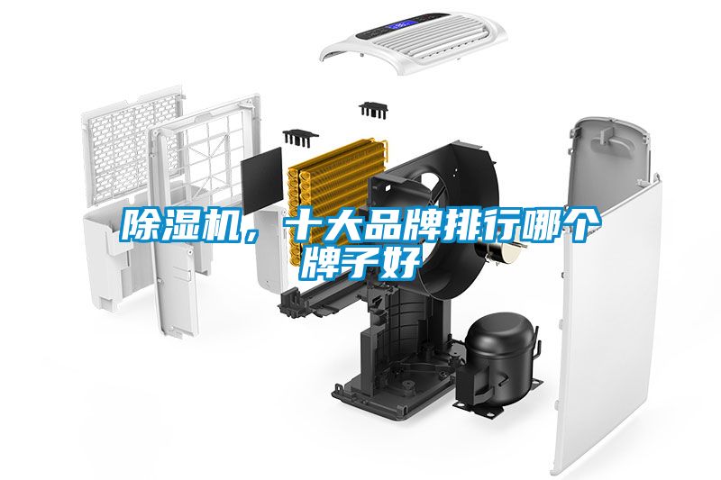 除濕機，十大品牌排行哪個牌子好