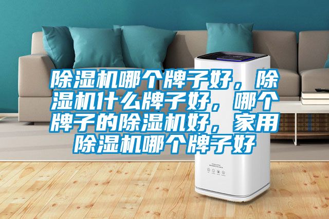 除濕機哪個牌子好，除濕機什么牌子好，哪個牌子的除濕機好，家用除濕機哪個牌子好