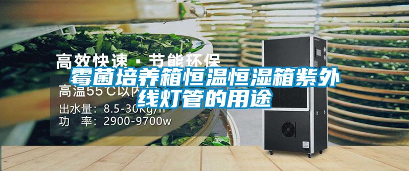 霉菌培養箱恒溫恒濕箱紫外線燈管的用途