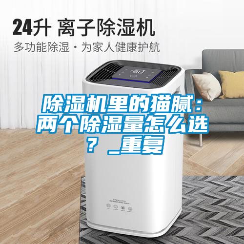 除濕機(jī)里的貓膩：兩個除濕量怎么選？_重復(fù)