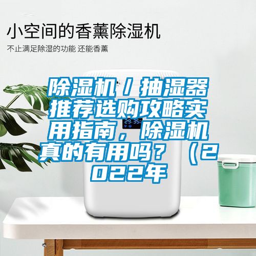 除濕機(jī)／抽濕器推薦選購攻略實用指南，除濕機(jī)真的有用嗎？（2022年