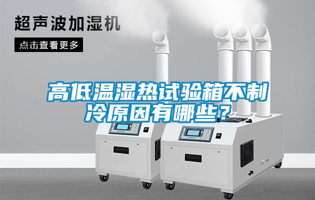 高低溫濕熱試驗箱不制冷原因有哪些？