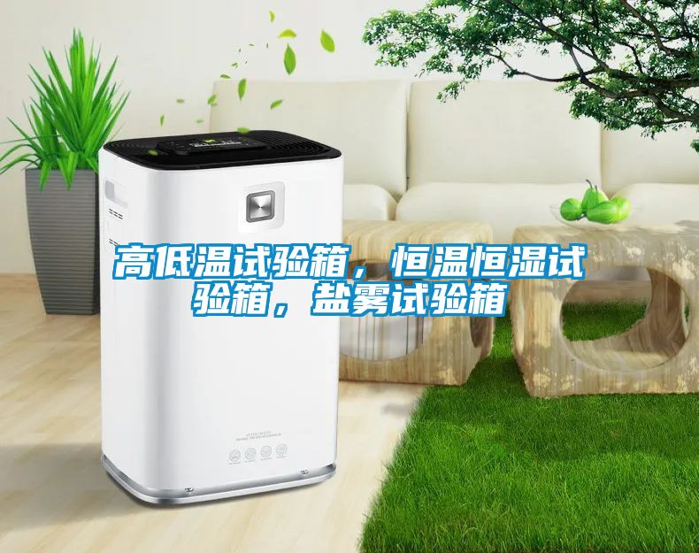 高低溫試驗箱，恒溫恒濕試驗箱，鹽霧試驗箱