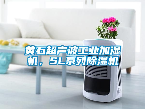 黃石超聲波工業加濕機，SL系列除濕機