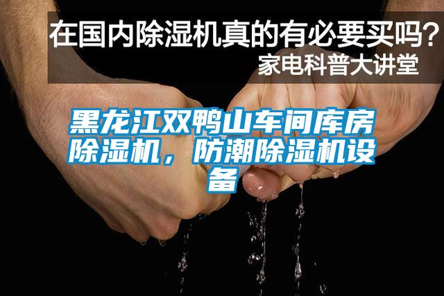 黑龍江雙鴨山車間庫房除濕機，防潮除濕機設備