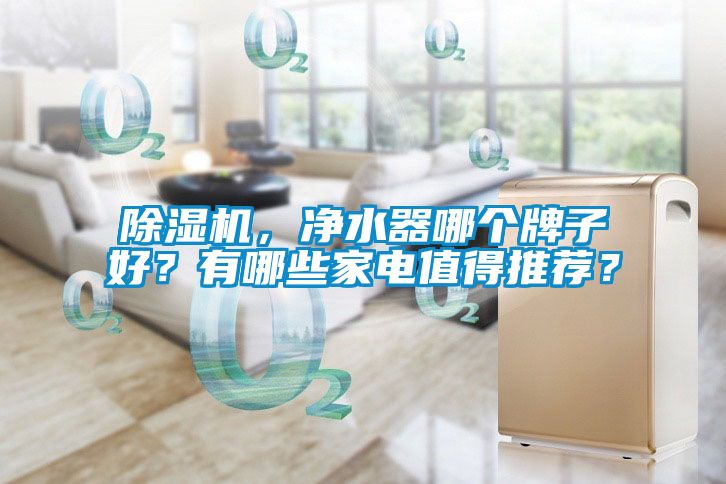 除濕機，凈水器哪個牌子好？有哪些家電值得推薦？