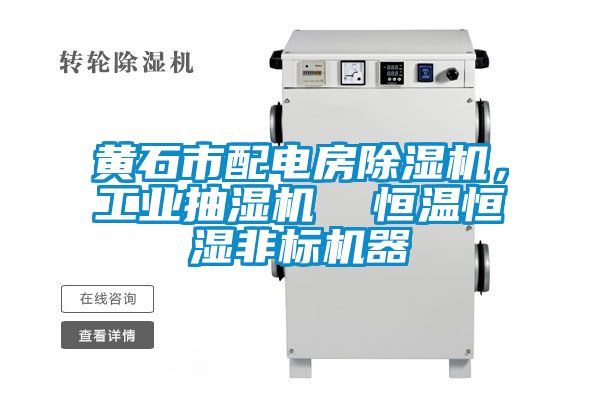 黃石市配電房除濕機，工業抽濕機  恒溫恒濕非標機器