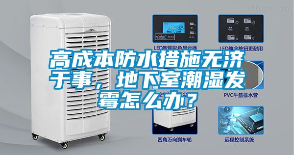 高成本防水措施無濟于事，地下室潮濕發霉怎么辦？