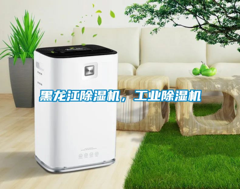 黑龍江除濕機，工業除濕機
