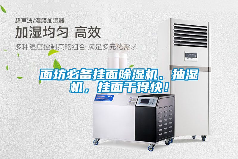 面坊必備掛面除濕機、抽濕機，掛面干得快！