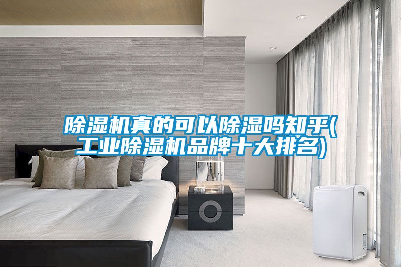 除濕機真的可以除濕嗎知乎(工業除濕機品牌十大排名)