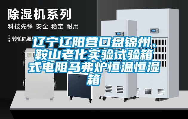 遼寧遼陽營口盤錦州、鞍山老化實(shí)驗(yàn)試驗(yàn)箱式電阻馬弗爐恒溫恒濕箱