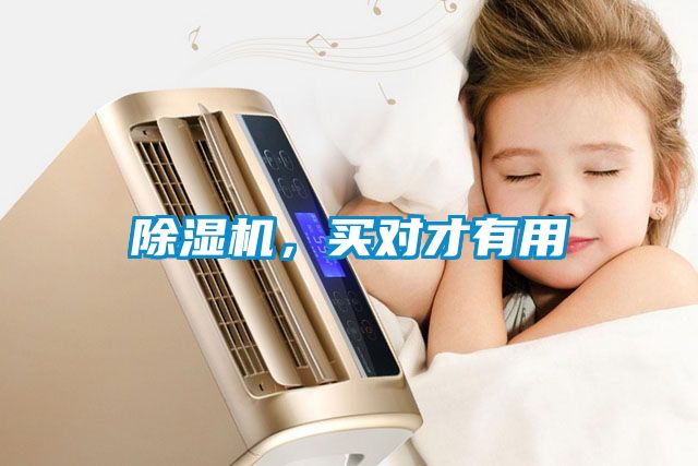 除濕機，買對才有用