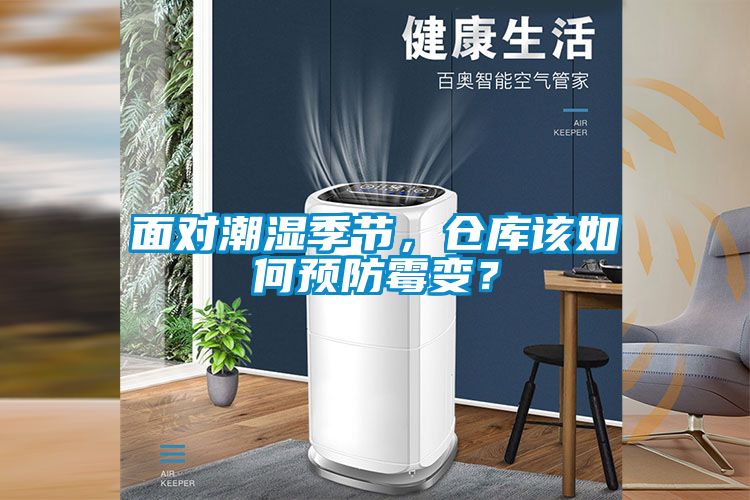 面對潮濕季節，倉庫該如何預防霉變？