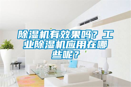 除濕機有效果嗎？工業除濕機應用在哪些呢？