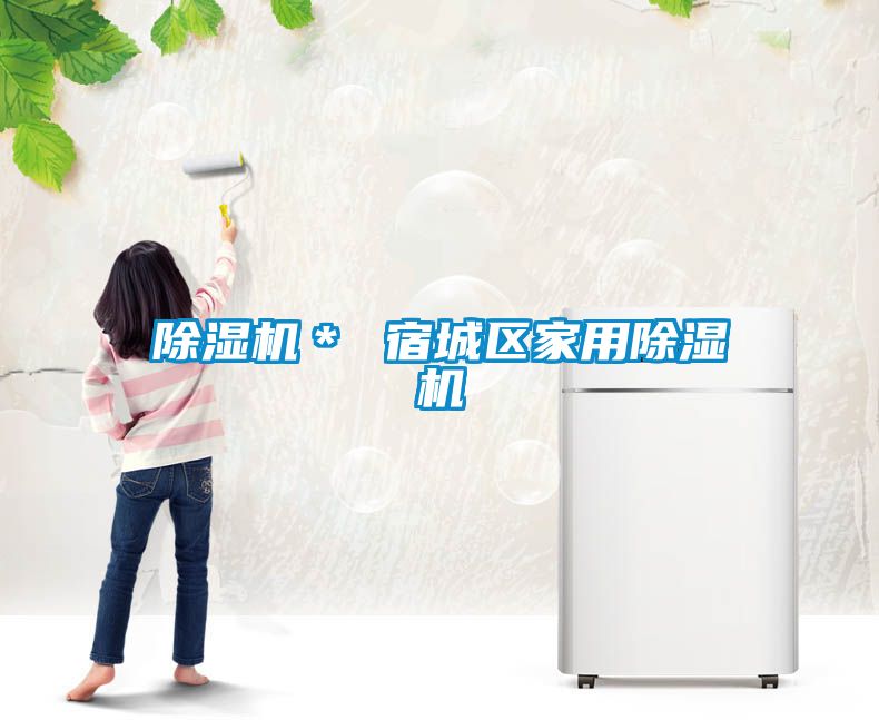 除濕機＊ 宿城區家用除濕機