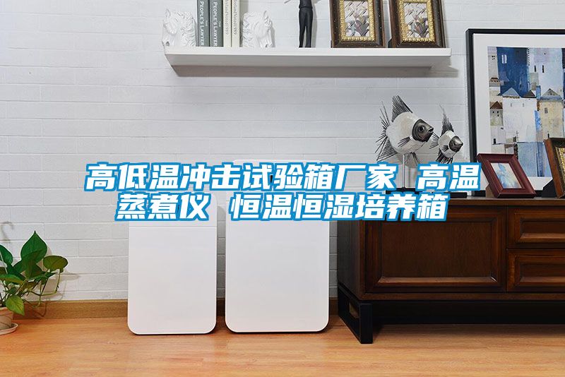 高低溫沖擊試驗箱廠家 高溫蒸煮儀 恒溫恒濕培養箱
