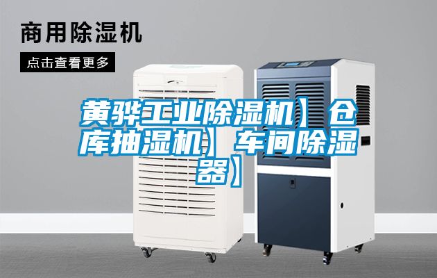 黃驊工業除濕機】倉庫抽濕機】車間除濕器】