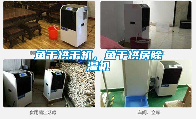魚干烘干機(jī)，魚干烘房除濕機(jī)