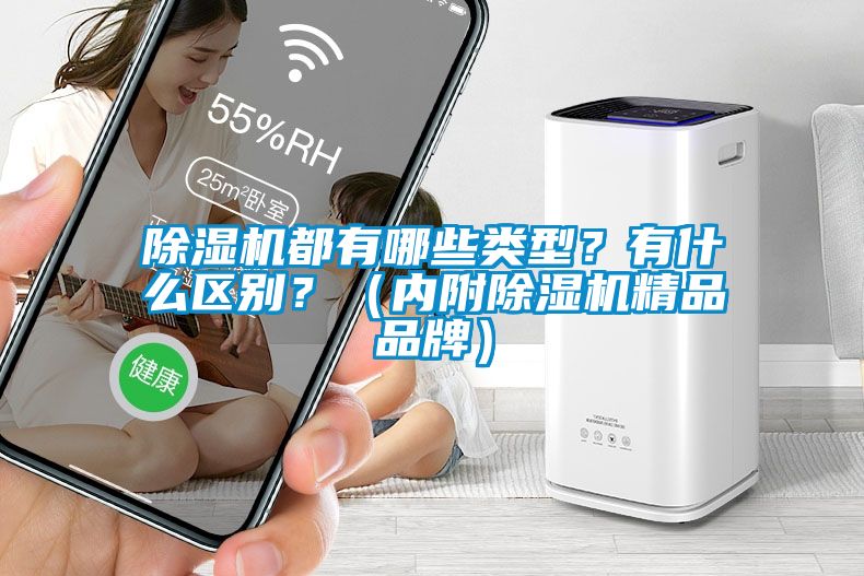 除濕機都有哪些類型？有什么區別？（內附除濕機精品品牌）