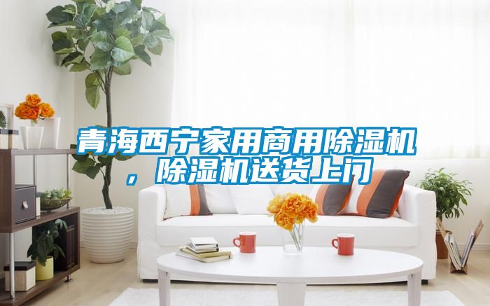 青海西寧家用商用除濕機，除濕機送貨上門