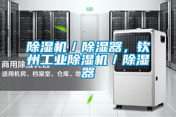 除濕機／除濕器，欽州工業除濕機／除濕器