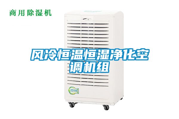 風冷恒溫恒濕凈化空調機組
