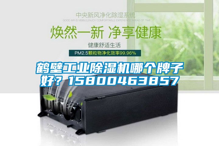 鶴壁工業除濕機哪個牌子好？15800463857