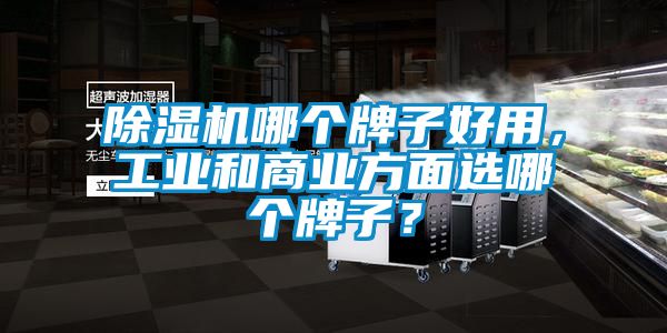 除濕機哪個牌子好用，工業(yè)和商業(yè)方面選哪個牌子？
