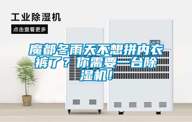 魔都冬雨天不想拼內(nèi)衣褲了？你需要一臺除濕機(jī)！