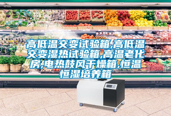 高低溫交變試驗箱,高低溫交變濕熱試驗箱,高溫老化房,電熱鼓風干燥箱,恒溫恒濕培養箱