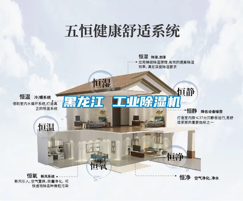 黑龍江 工業除濕機