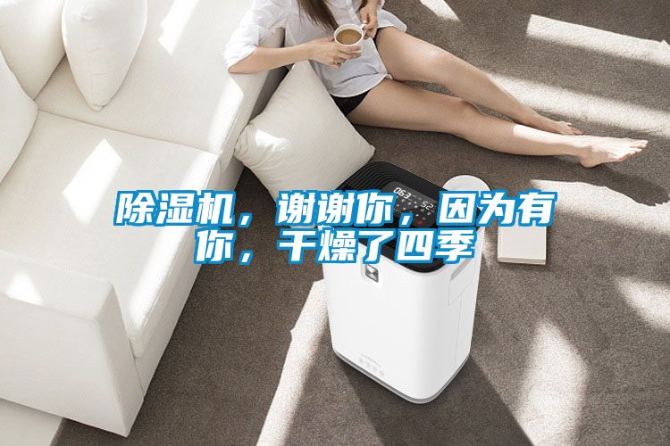 除濕機，謝謝你，因為有你，干燥了四季