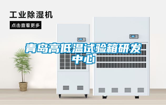 青島高低溫試驗箱研發中心