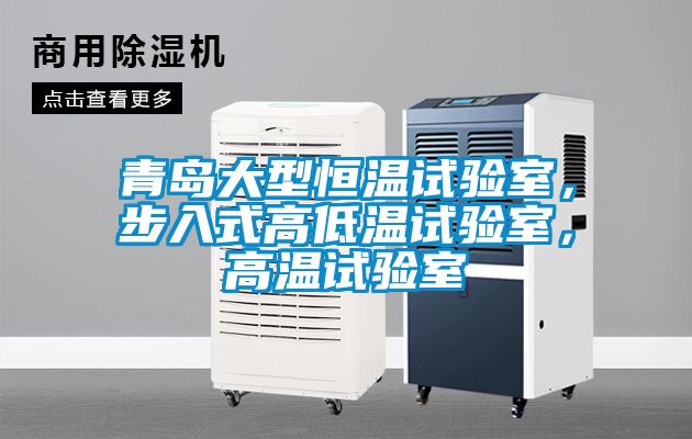 青島大型恒溫試驗室，步入式高低溫試驗室，高溫試驗室