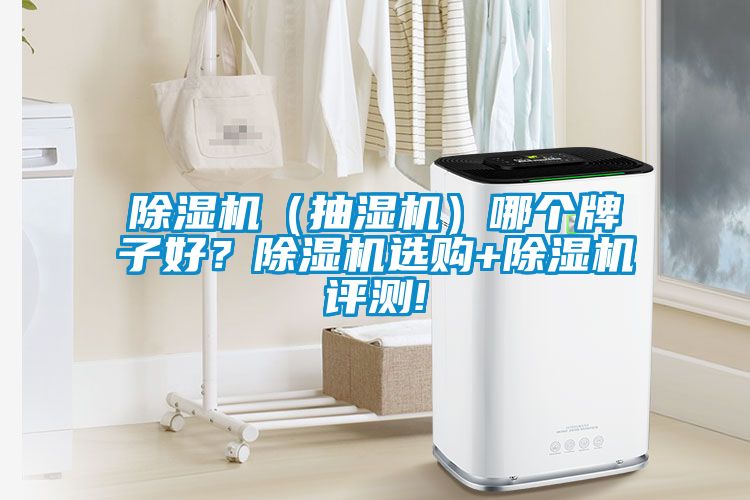 除濕機(jī)（抽濕機(jī)）哪個(gè)牌子好？除濕機(jī)選購(gòu)+除濕機(jī)評(píng)測(cè)!