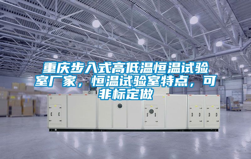 重慶步入式高低溫恒溫試驗室廠家，恒溫試驗室特點，可非標(biāo)定做