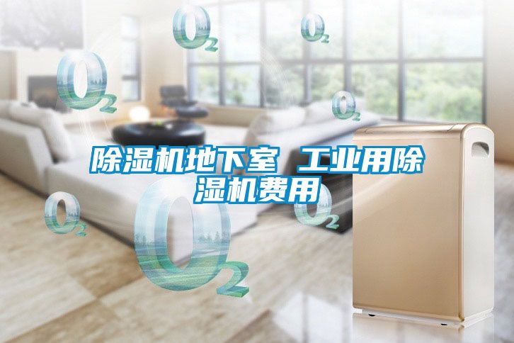 除濕機地下室 工業用除濕機費用