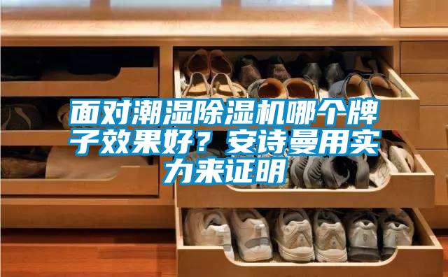 面對潮濕除濕機哪個牌子效果好？安詩曼用實力來證明